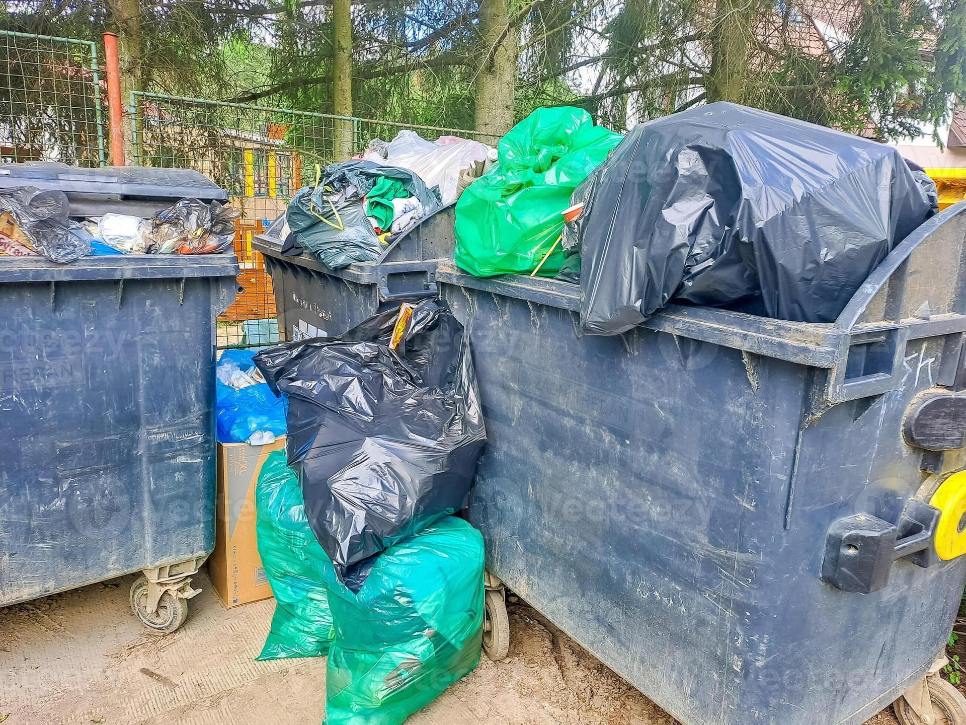 Dumpster Rental in Cape Coral FL for Home Renovations and Property Cleanouts
