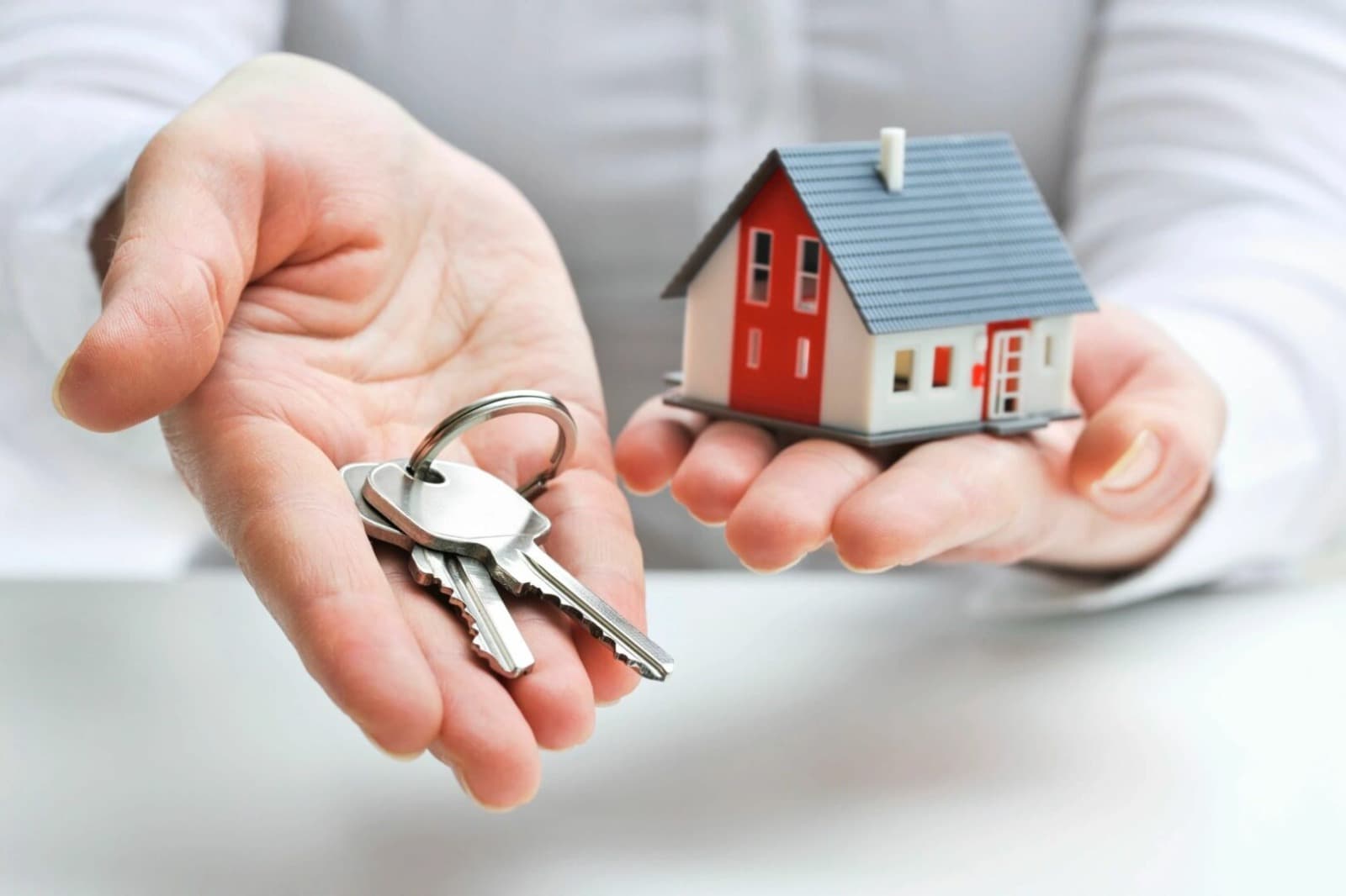 Understanding Probate Made Easy with Expert Guidance