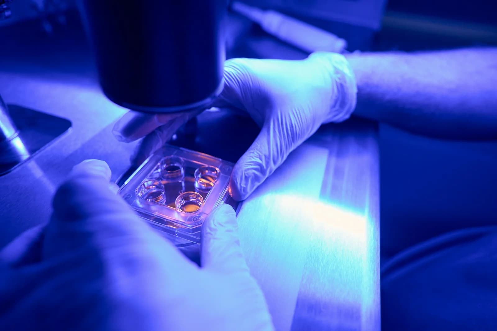 Explore Hydro Research Peptides for Advanced Studies