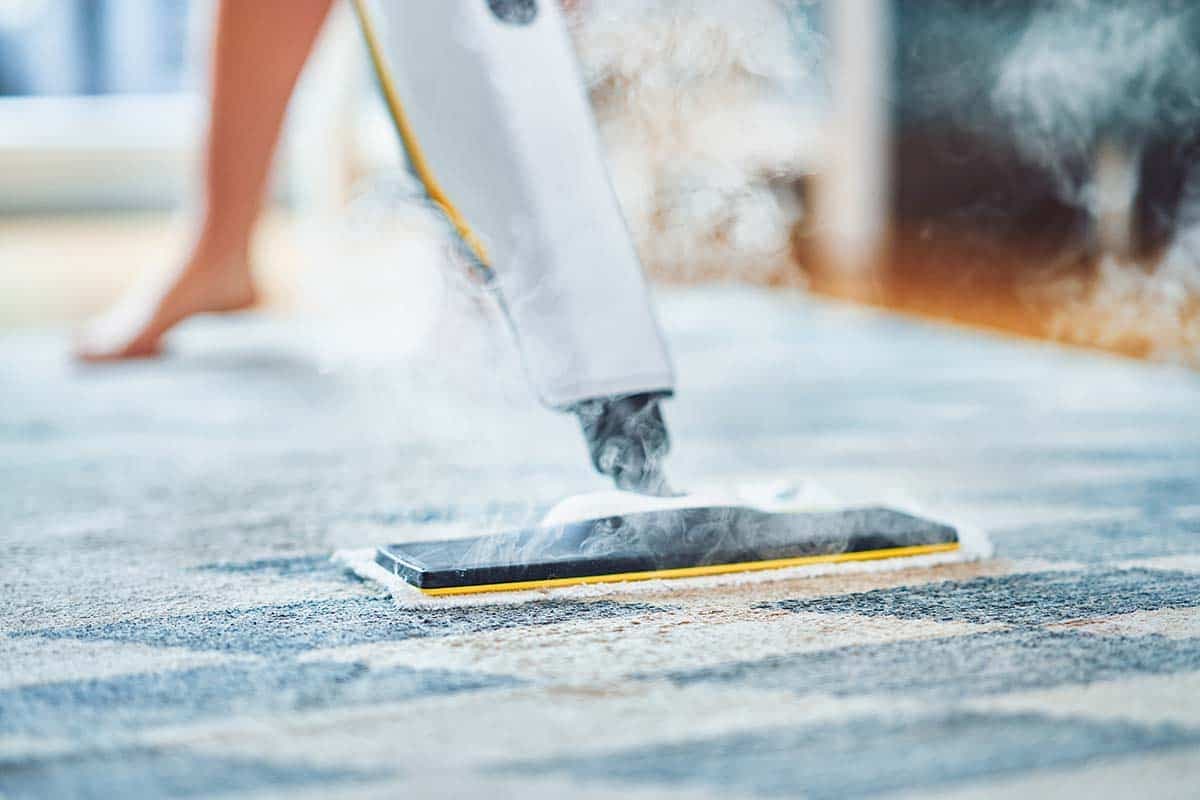Carpet Cleaning Rocklin CA – Expert Carpet Cleaning Services