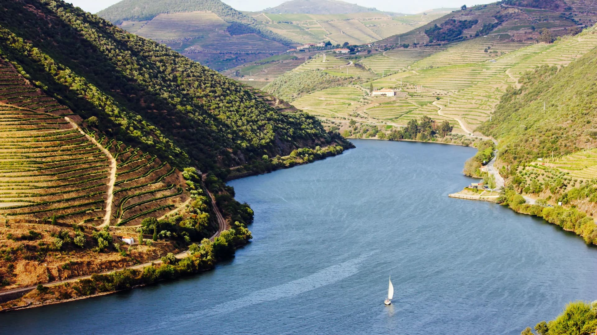 Best Wine Hotel in Douro Valley: A Luxury Stay You’ll Never Forget