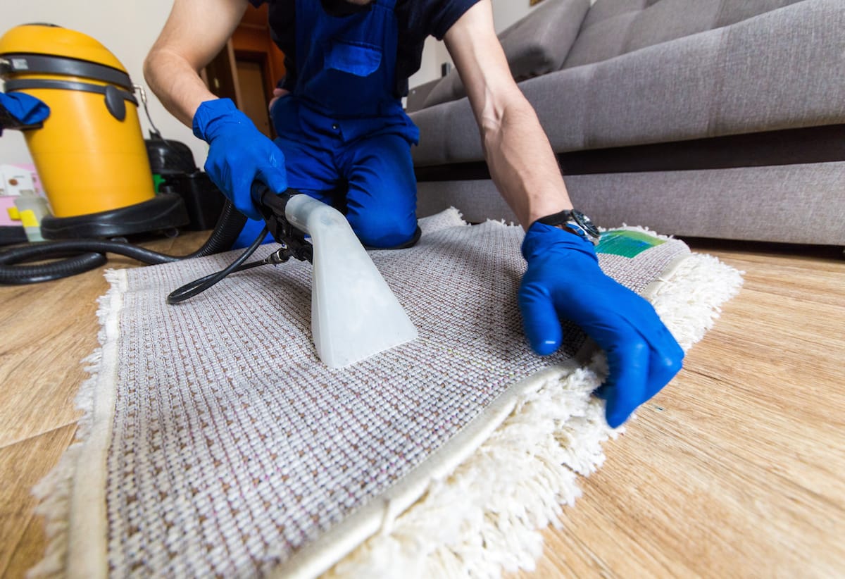 Affordable Carpet Cleaning Roseville CA Near You