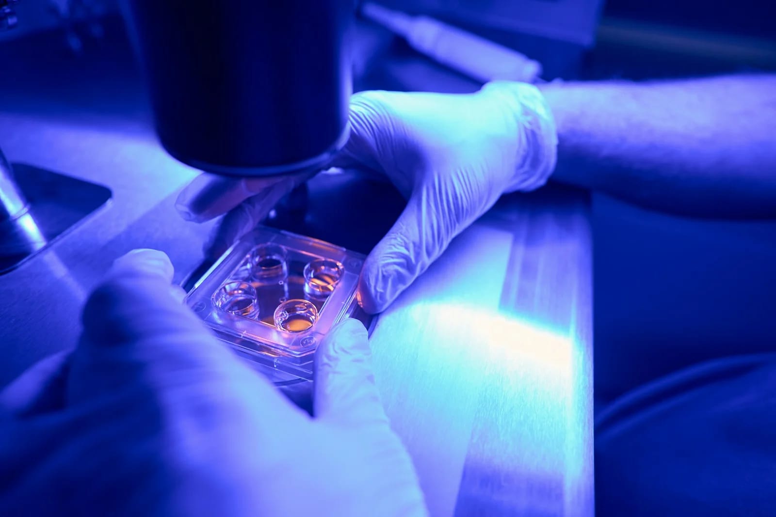 Explore Hydro Research Peptides for Advanced Studies