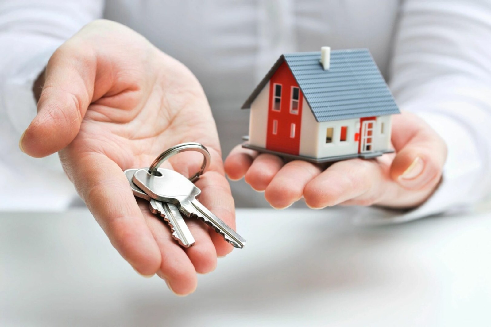 Understanding Probate Made Easy with Expert Guidance